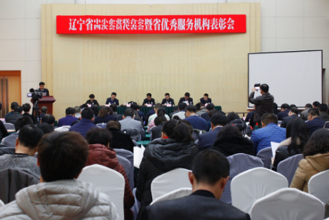 心系辽沈企业发展，盈科沈阳分所专业服务获表彰