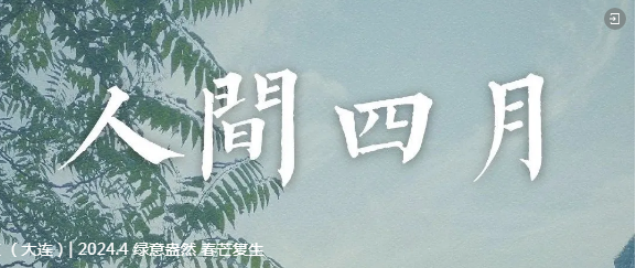 盈·月汇（大连）2024.4 | 绿意盎然，春芒复生